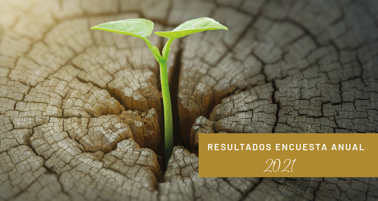 encuesta 2021 grande aefa