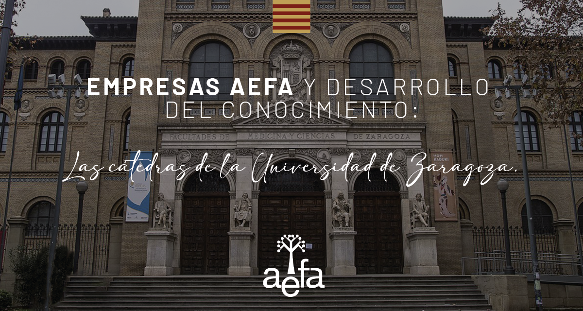 cátedras universidad zaragoza AEFA